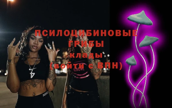 стаф Арсеньев