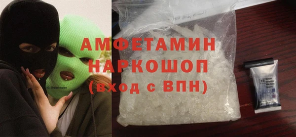 стаф Касимов