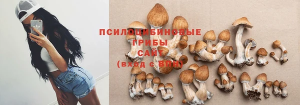 стаф Арсеньев