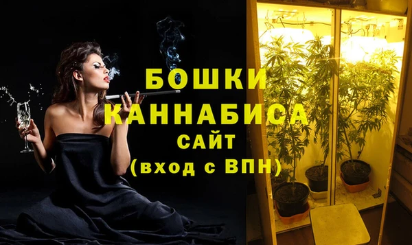 стаф Арсеньев