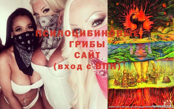 стаф Арсеньев