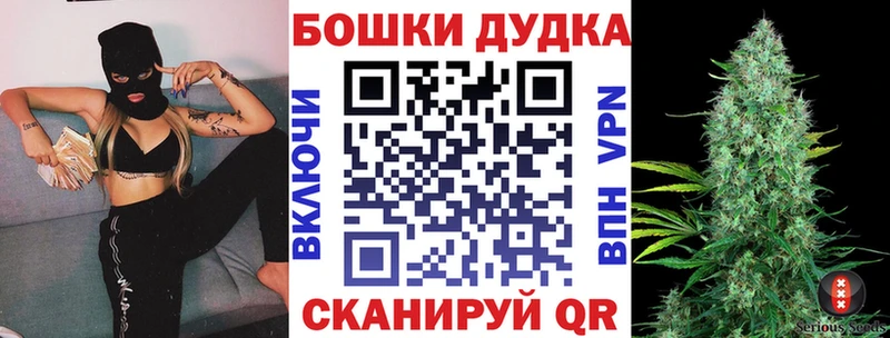 Шишки марихуана SATIVA & INDICA  сколько стоит  Шатура 